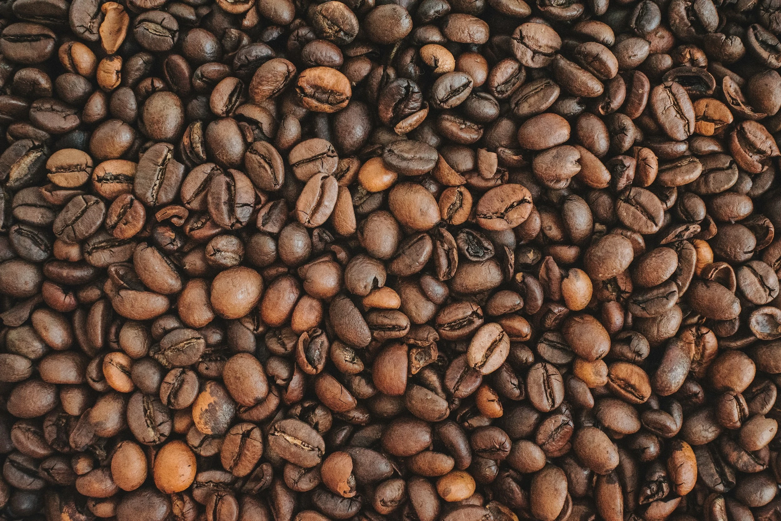 Arabica Coffee